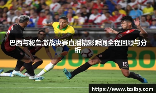 333体育巴西与秘鲁激战决赛直播精彩瞬间全程回顾与分析