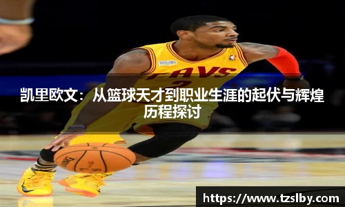 333体育官网app下载