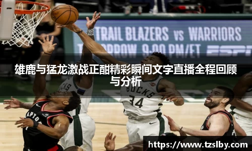 333体育雄鹿与猛龙激战正酣精彩瞬间文字直播全程回顾与分析